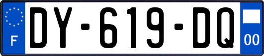 DY-619-DQ