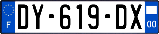 DY-619-DX