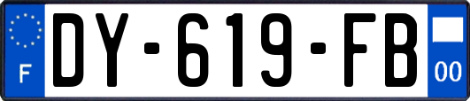 DY-619-FB