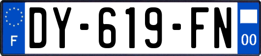 DY-619-FN