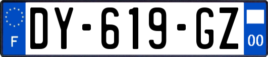 DY-619-GZ