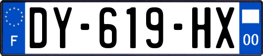 DY-619-HX