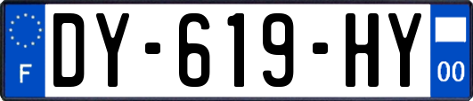 DY-619-HY