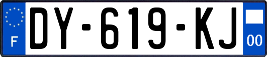 DY-619-KJ