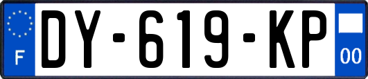 DY-619-KP