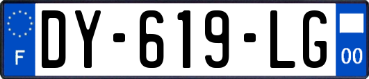 DY-619-LG