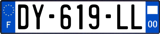 DY-619-LL