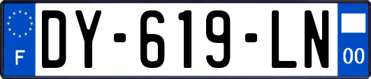 DY-619-LN