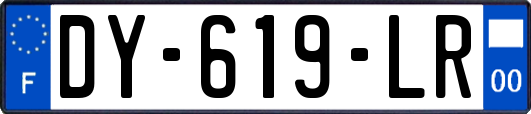 DY-619-LR