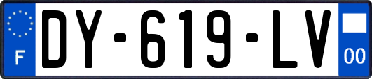 DY-619-LV