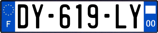 DY-619-LY