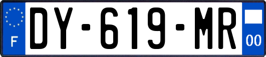 DY-619-MR