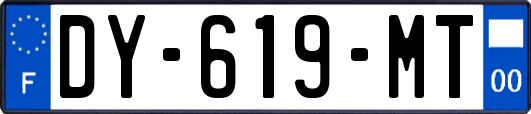 DY-619-MT