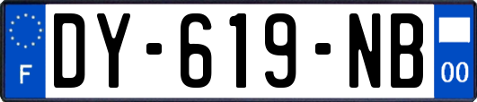 DY-619-NB