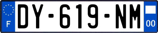 DY-619-NM