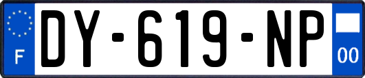 DY-619-NP