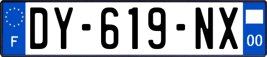 DY-619-NX