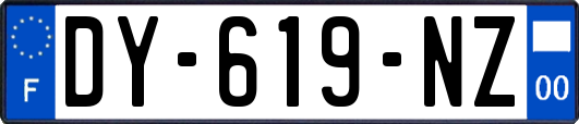 DY-619-NZ