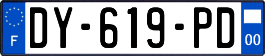 DY-619-PD