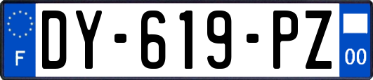 DY-619-PZ