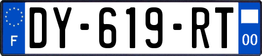 DY-619-RT