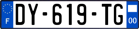 DY-619-TG