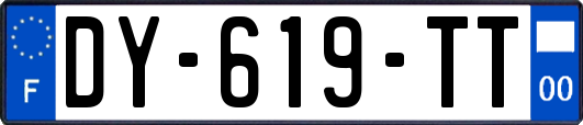 DY-619-TT