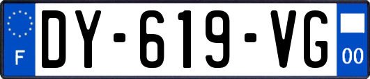 DY-619-VG