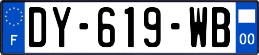 DY-619-WB