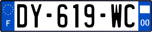 DY-619-WC