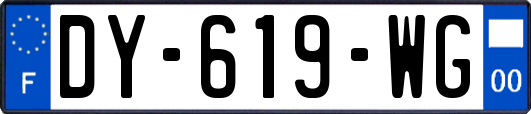 DY-619-WG