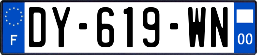 DY-619-WN