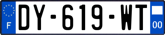 DY-619-WT