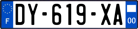 DY-619-XA