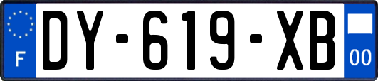 DY-619-XB