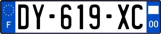 DY-619-XC