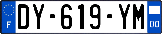 DY-619-YM