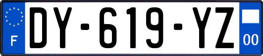 DY-619-YZ