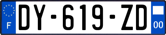 DY-619-ZD