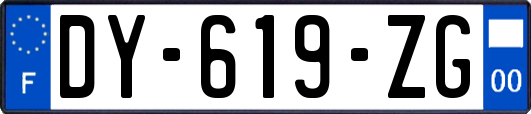 DY-619-ZG