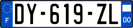 DY-619-ZL