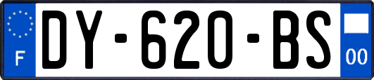 DY-620-BS