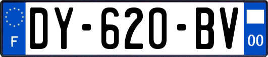 DY-620-BV