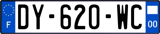 DY-620-WC