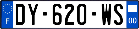 DY-620-WS