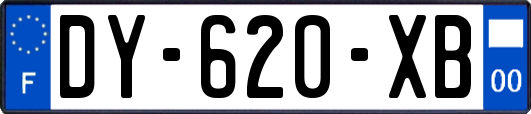 DY-620-XB