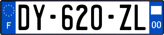 DY-620-ZL