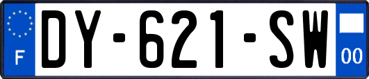 DY-621-SW