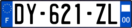 DY-621-ZL