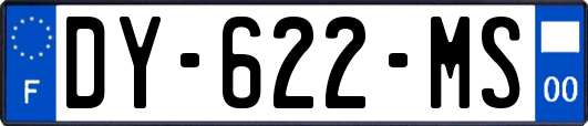 DY-622-MS